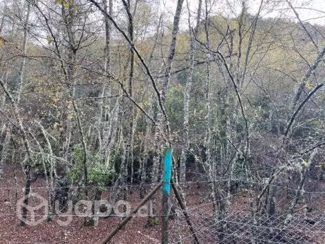 Se vende parcela 5000 m en precordillera Linares - Imagen 4