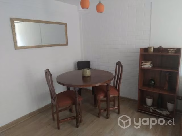 Arriendo depto.amoblado