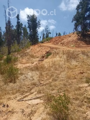 Se vende parcela de 5.000 mts - Imagen 6