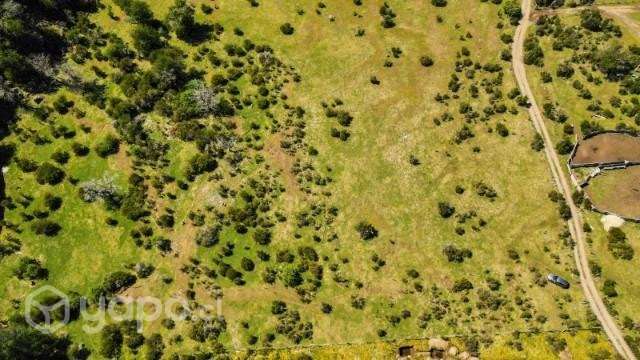 5000 m2 en Villa Cerro Castillo - Imagen 3