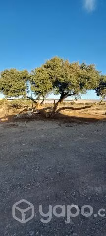 Se vende terreno - Imagen 5