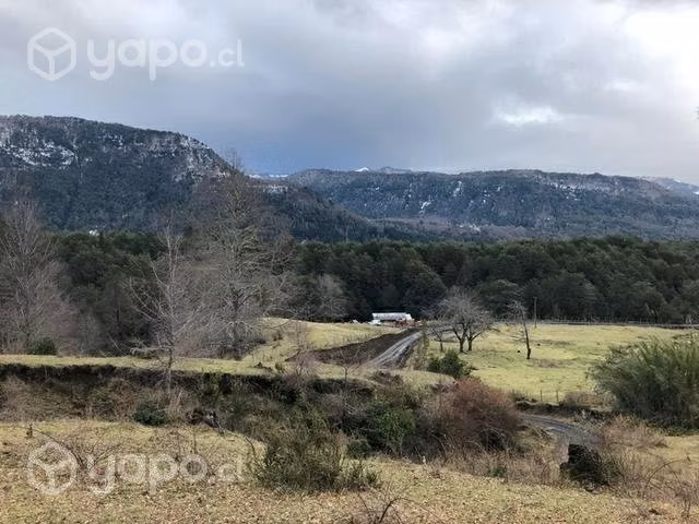 Parcela rinconada de catripulli (curarrehue) - Imagen 4