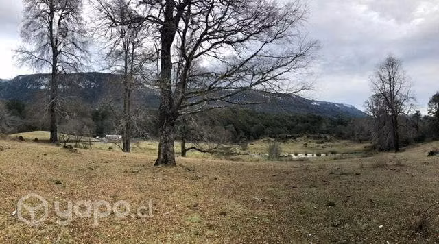 Parcela rinconada de catripulli (curarrehue) - Imagen 5