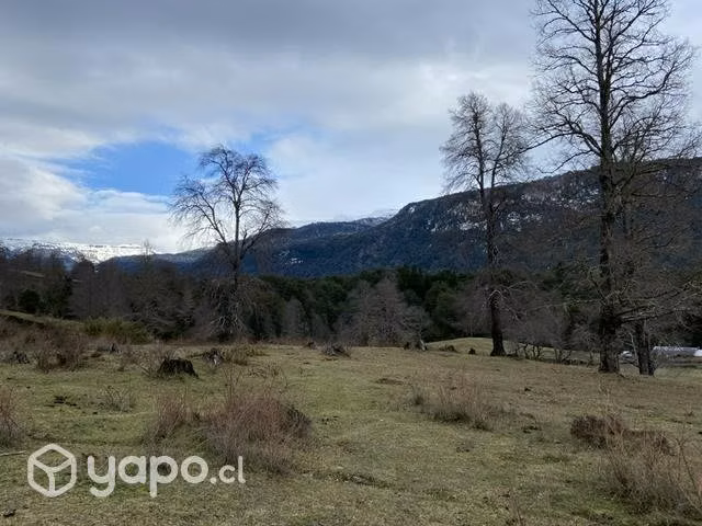 Parcela rinconada de catripulli (curarrehue)