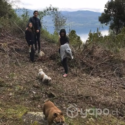 Parcela Lago Riñihue