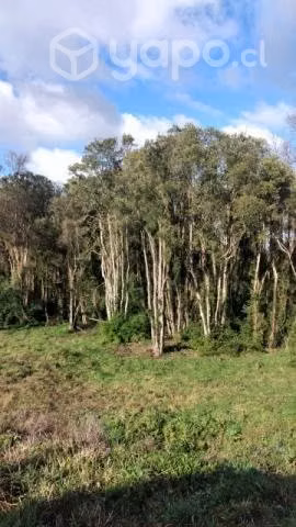 Parcela de agrado con casa