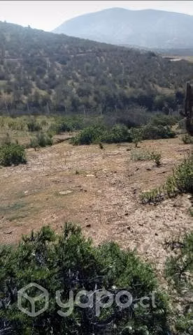 Venta terreno - Imagen 2