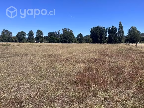 Se vende hectárea de campo en Cunco