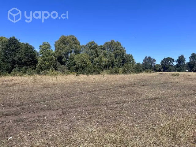 Se vende hectárea de campo en Cunco