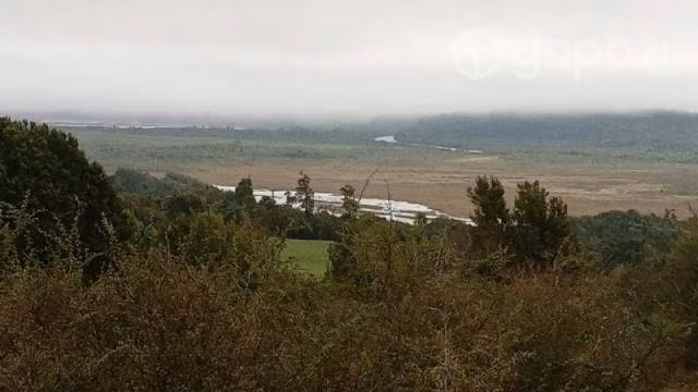 Sector chepu …