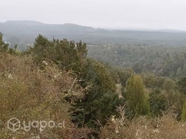 Sector chepu …