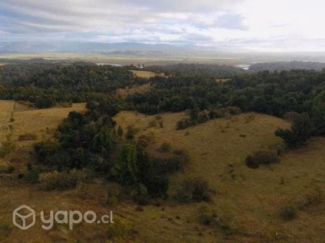 Sector chepu …