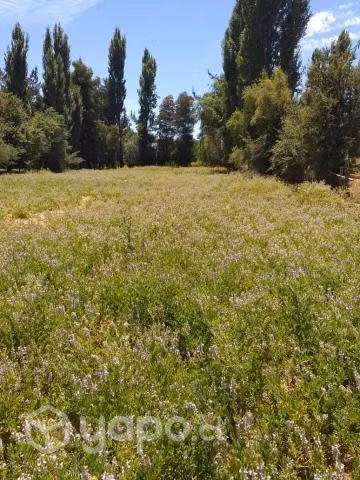 Terreno de 3916 m2 con dos casas