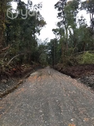 Parcelas Chiloé - Imagen 3