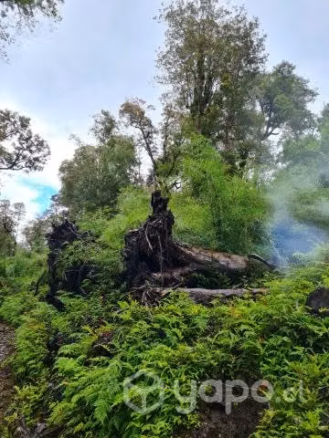 Parcelas Chiloé - Imagen 7