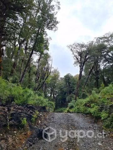 Parcelas Chiloé - Imagen 4