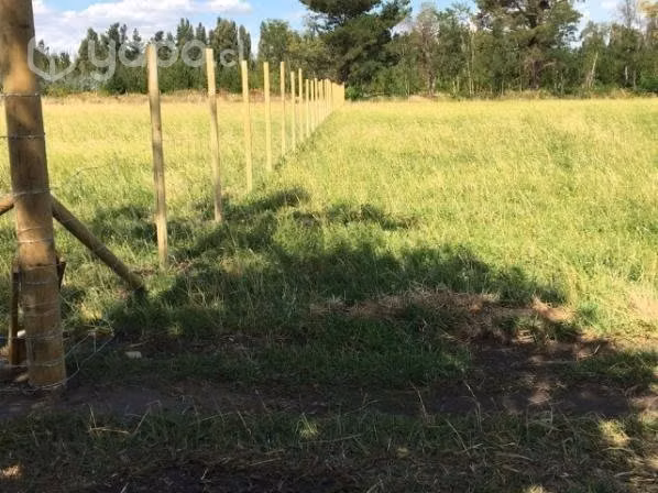 Hermoso terreno de 5000 m2
