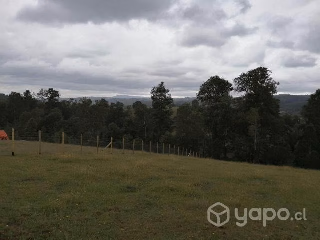 Parcela 5340m2 en Chancoyán, a 24 kms de Valdivia