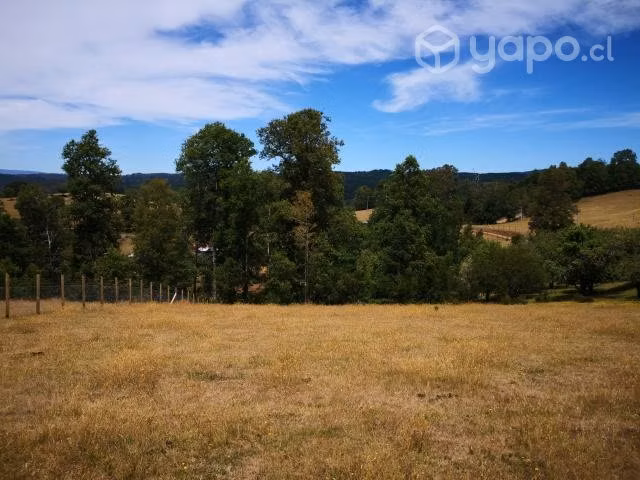 Parcela 5340m2 en Chancoyán, a 24 kms de Valdivia