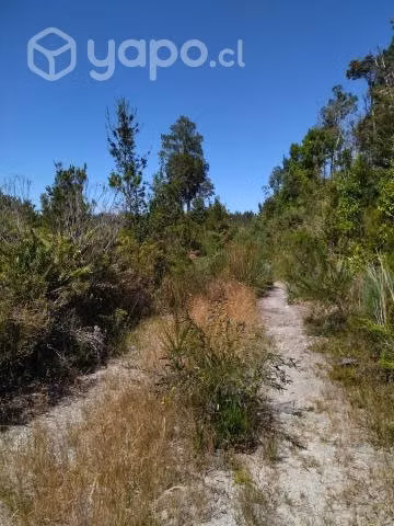 Terreno de 5000m2 - Imagen 7