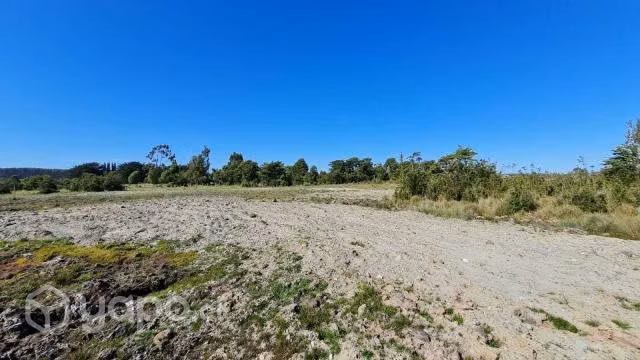 Parcela 1 Ha, sector La Pasada - Maullín - Imagen 2