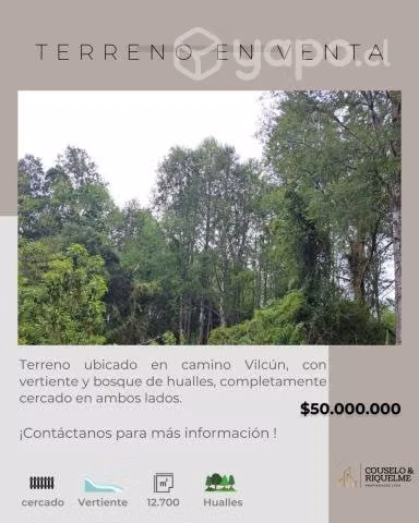 Terreno Camino a Vilcun