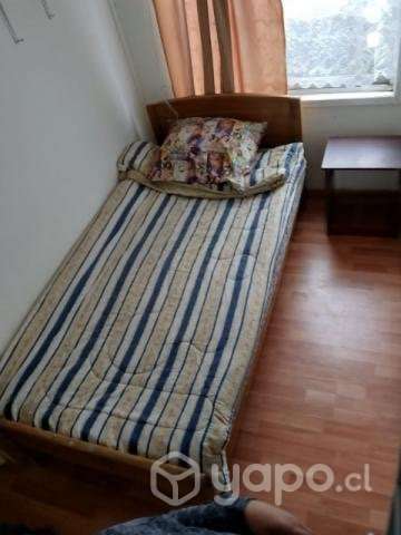 Arriendo pieza UBB - Imagen 3