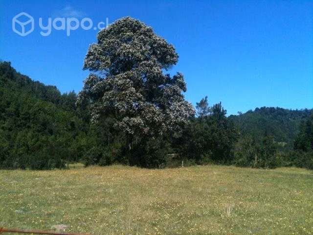 Se vende sitio en Carretera Austra, sector Contao