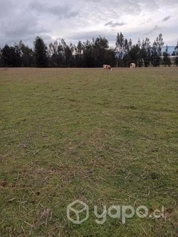 Terreno en venta en puren