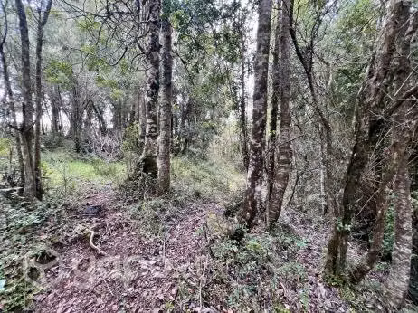 PARCELA Parcelas a 45 minutos de Puerto Varas