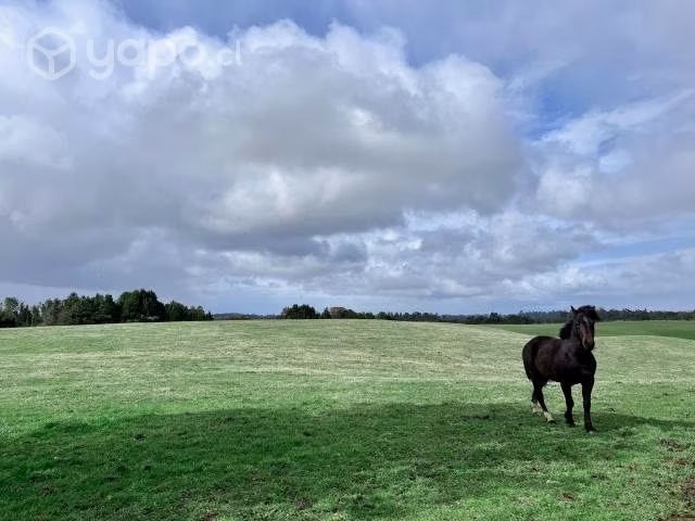 PARCELA Parcelas a 45 minutos de Puerto Varas