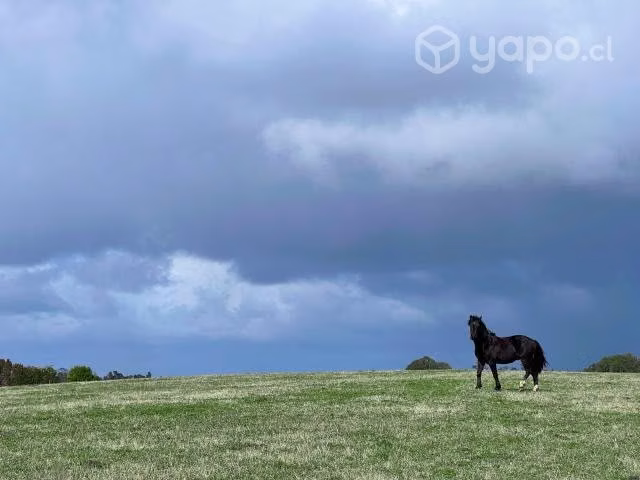 PARCELA Parcelas a 45 minutos de Puerto Varas