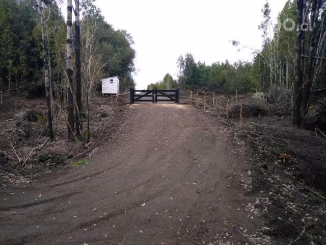 Terreno urbanizado en Contuy, Queién, Chiloé