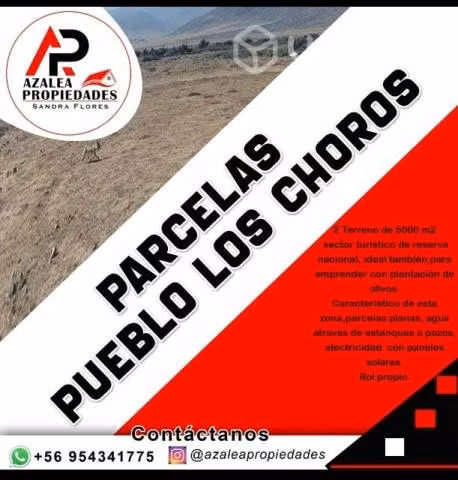 Parcela Pueblo los choros