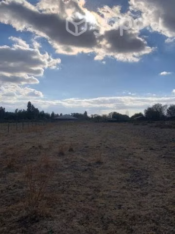 Parcela 5200 M2 Sector Cato Oriente Km.8