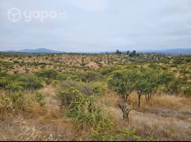 Terrenos en km 35.5 ruta g60 camino rapel