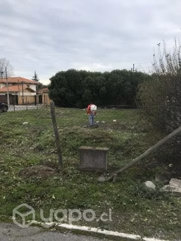 Terreno