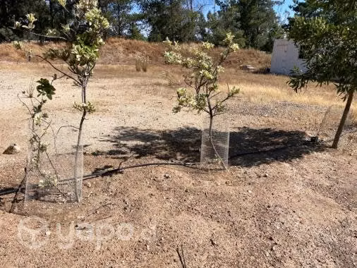 Casa en Venta Catapilco Zapallar - Imagen 14