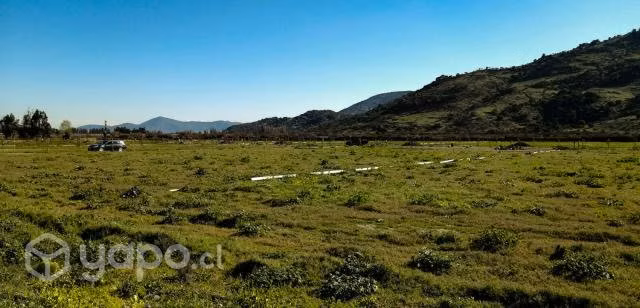 Parcela 5000mt2 Urbanizada en Curicó - Imagen 6