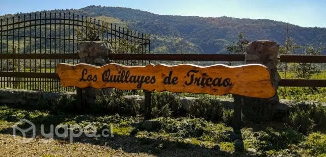 Parcela 5000mt2 Urbanizada en Curicó
