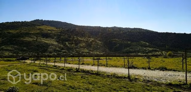 Parcela 5000mt2 Urbanizada en Curicó - Imagen 2