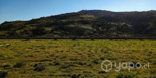 Parcela 5000mt2 Urbanizada en Curicó - Imagen 8