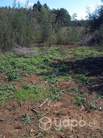 Se vende parcela