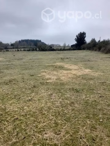Terreno Agrícola en - Imagen 7