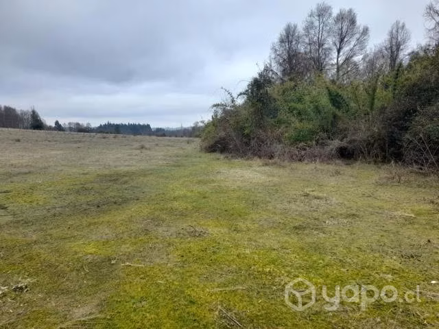 Terreno Agrícola en - Imagen 2