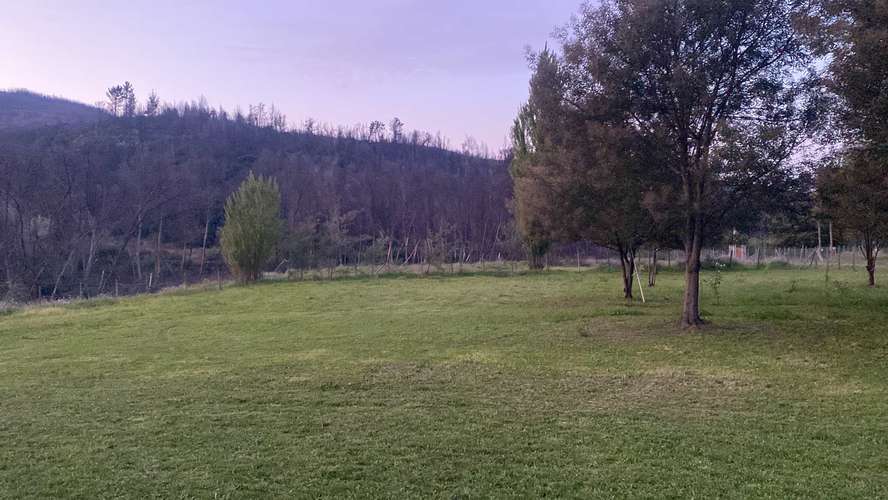 Terreno en quillon o permuto - Imagen 5