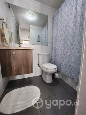 Arriendo departamento 1D+1B,amoblado(metro moneda)