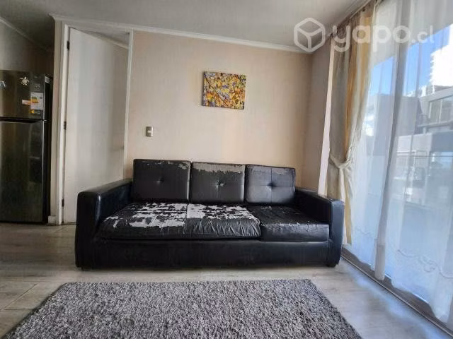 Arriendo departamento 1D+1B,amoblado(metro moneda)