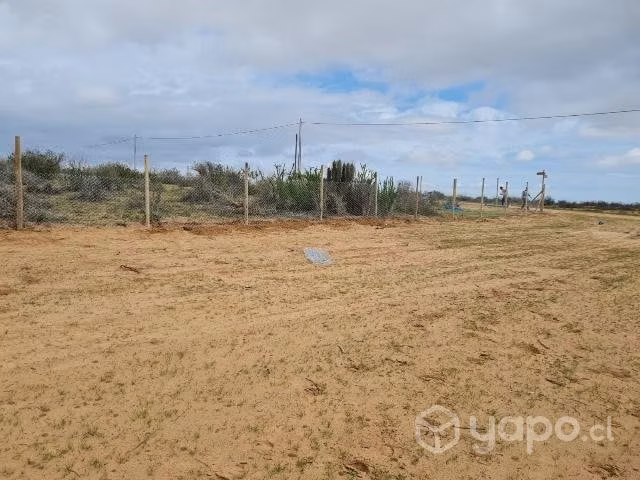 Terreno tongoycillo - Imagen 4