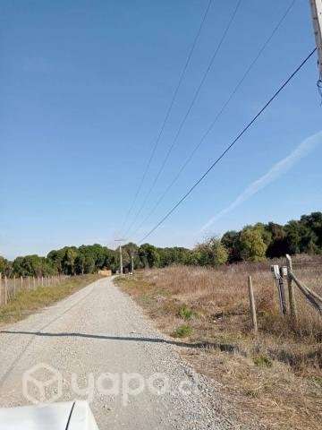 Venta de Parcela - Chillan, Region - Ñuble - Imagen 3